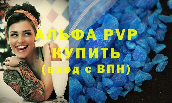 стафф Вязьма