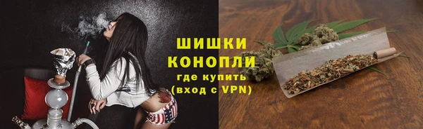 спиды Вяземский