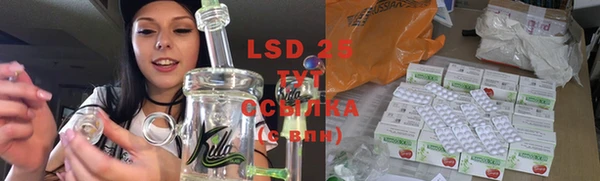 стафф Вязьма