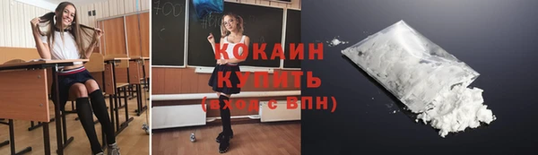 стафф Вязьма