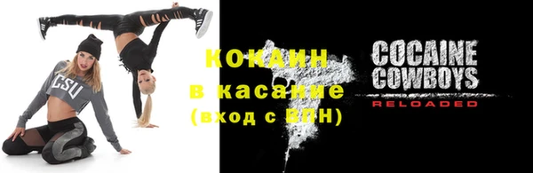 ПСИЛОЦИБИНОВЫЕ ГРИБЫ Вязники
