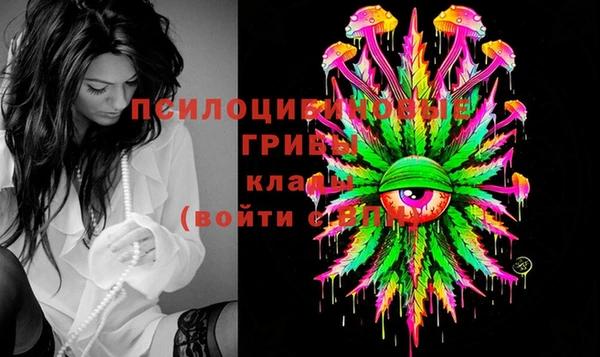 спиды Вяземский