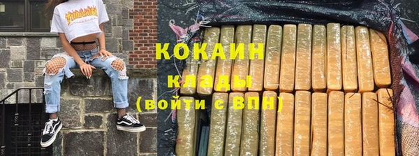 стафф Вязьма