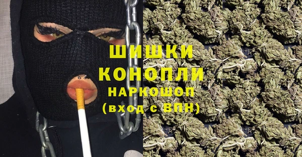 стафф Вязьма