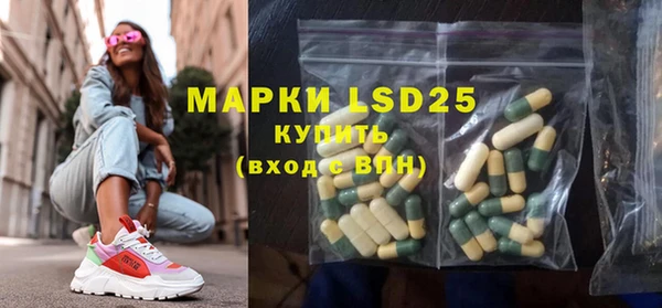 ПСИЛОЦИБИНОВЫЕ ГРИБЫ Вязники