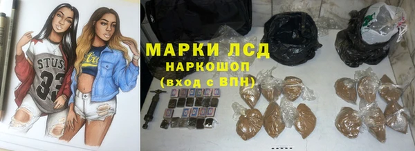 ПСИЛОЦИБИНОВЫЕ ГРИБЫ Вязники