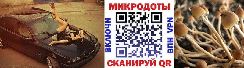Галлюциногенные грибы Psilocybe  сайты даркнета состав  Енисейск 